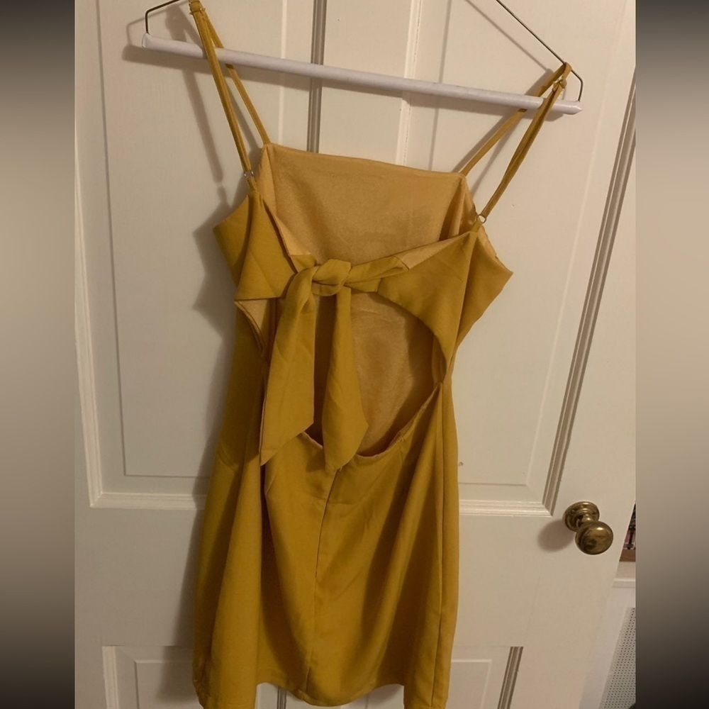 LULUS toast to life dress - Picture 4 of 6
